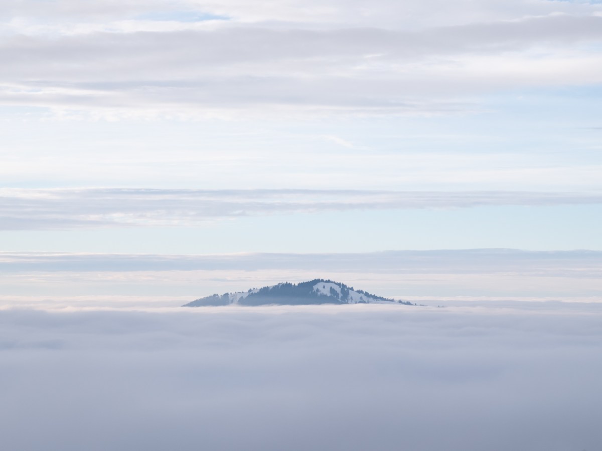 What we are and meant to&nbsp;be